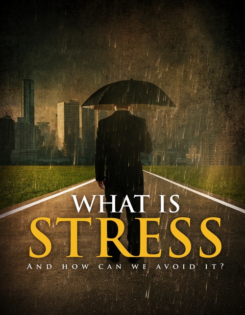 Product picture What is stress and how can we avoid it